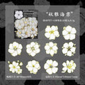 B-49 The garden is filled with the fragrance of flowers.
