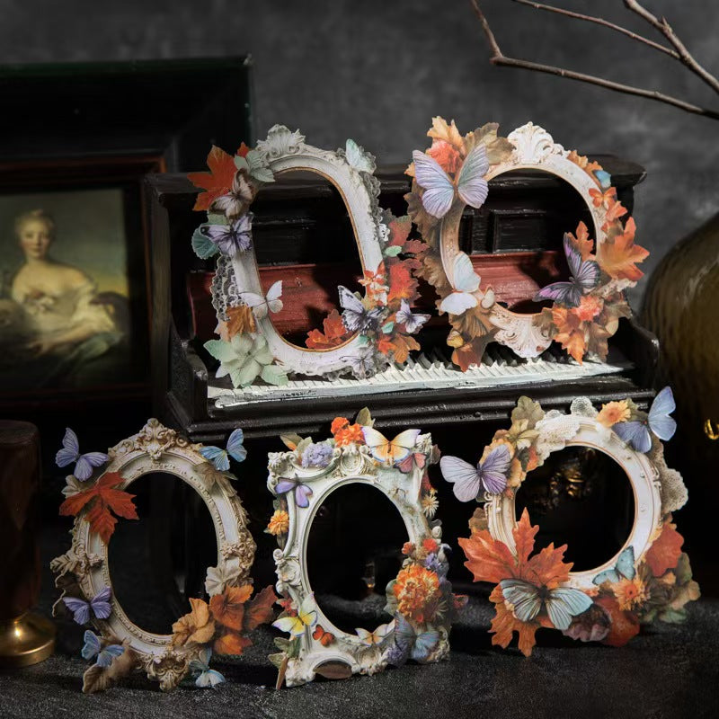 B-11  Mushroom Specimen Collection Series