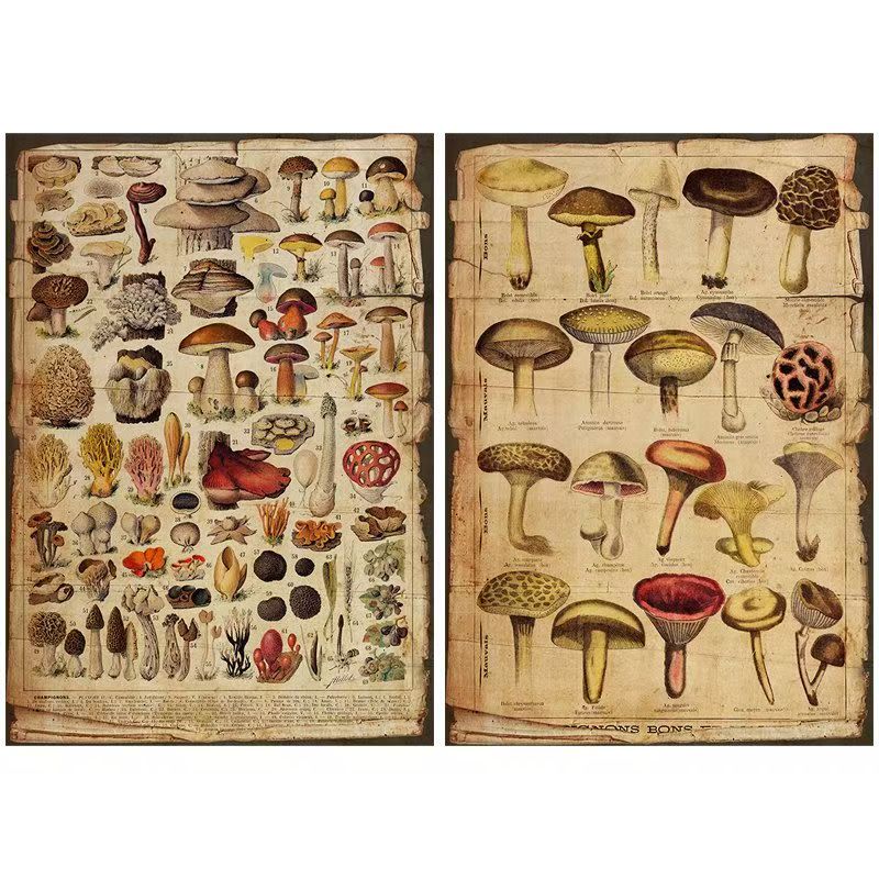 C-7  Background paper for the Institute of Botany