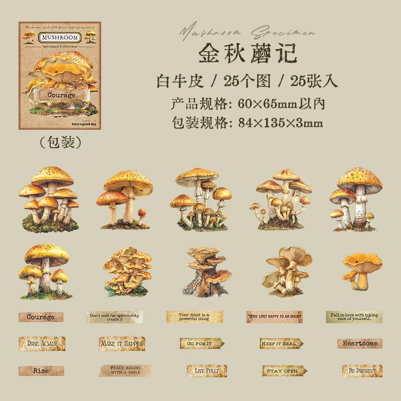 B-10  Mushroom Specimen Collection Series