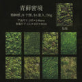 C-16  Material Paper The Touch of Nature Series