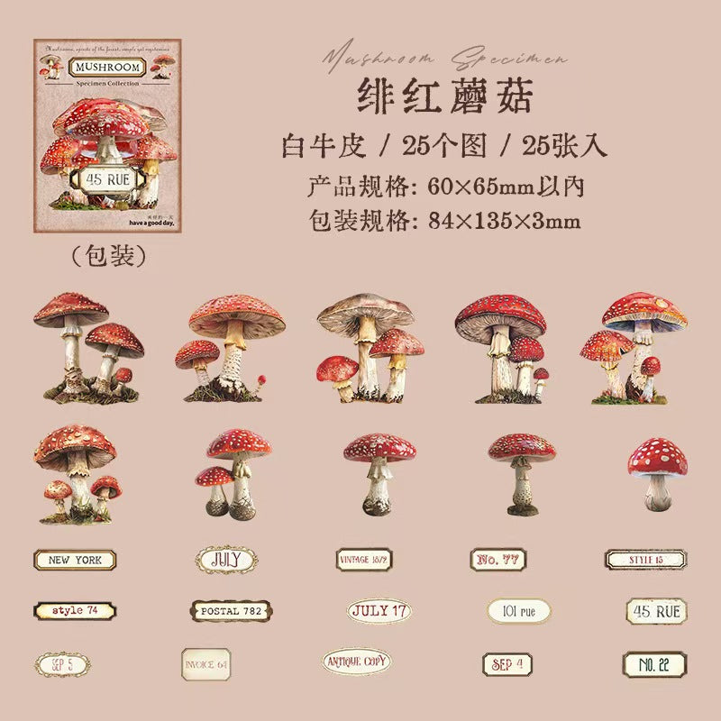 B-10  Mushroom Specimen Collection Series