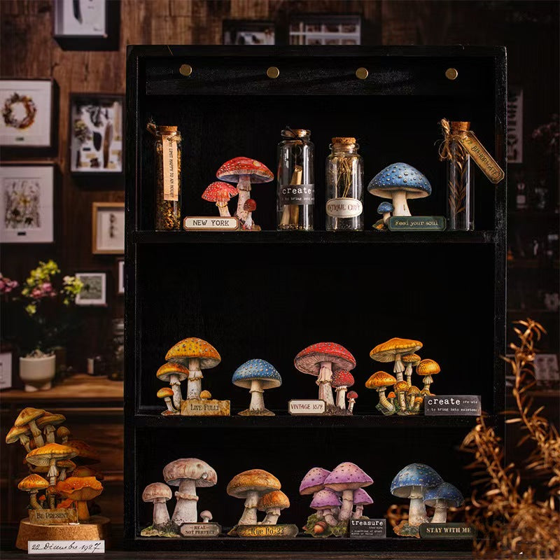 B-10  Mushroom Specimen Collection Series