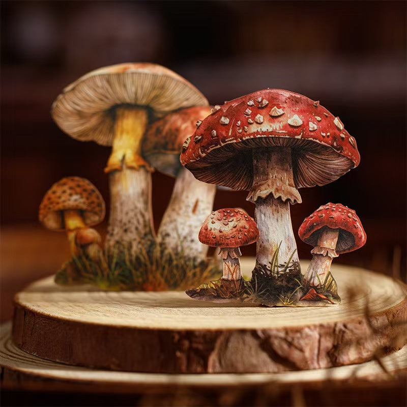 B-10  Mushroom Specimen Collection Series