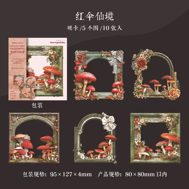 B-11  Mushroom Specimen Collection Series