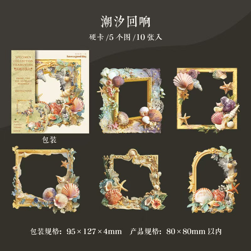 B-11  Mushroom Specimen Collection Series