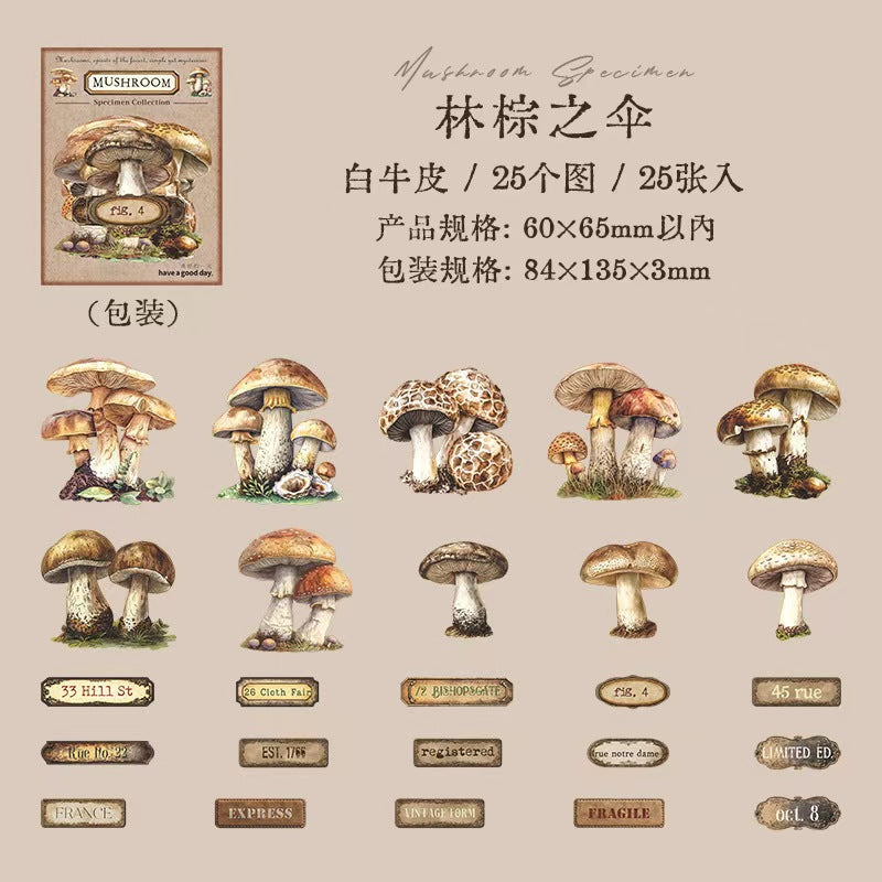 B-10  Mushroom Specimen Collection Series