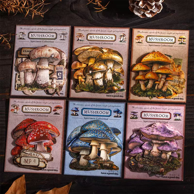 B-10  Mushroom Specimen Collection Series