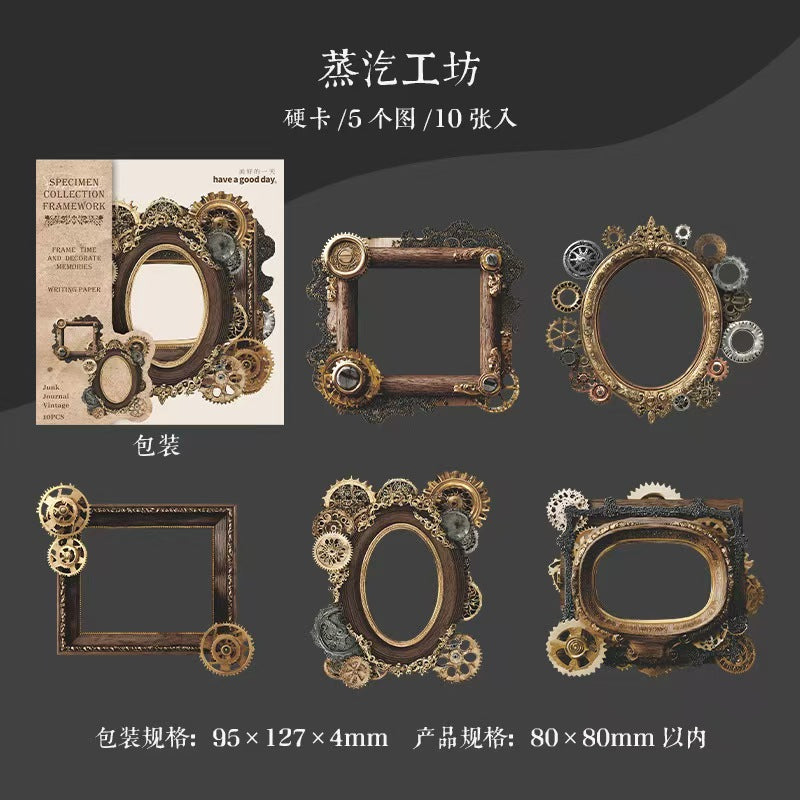 B-11  Mushroom Specimen Collection Series