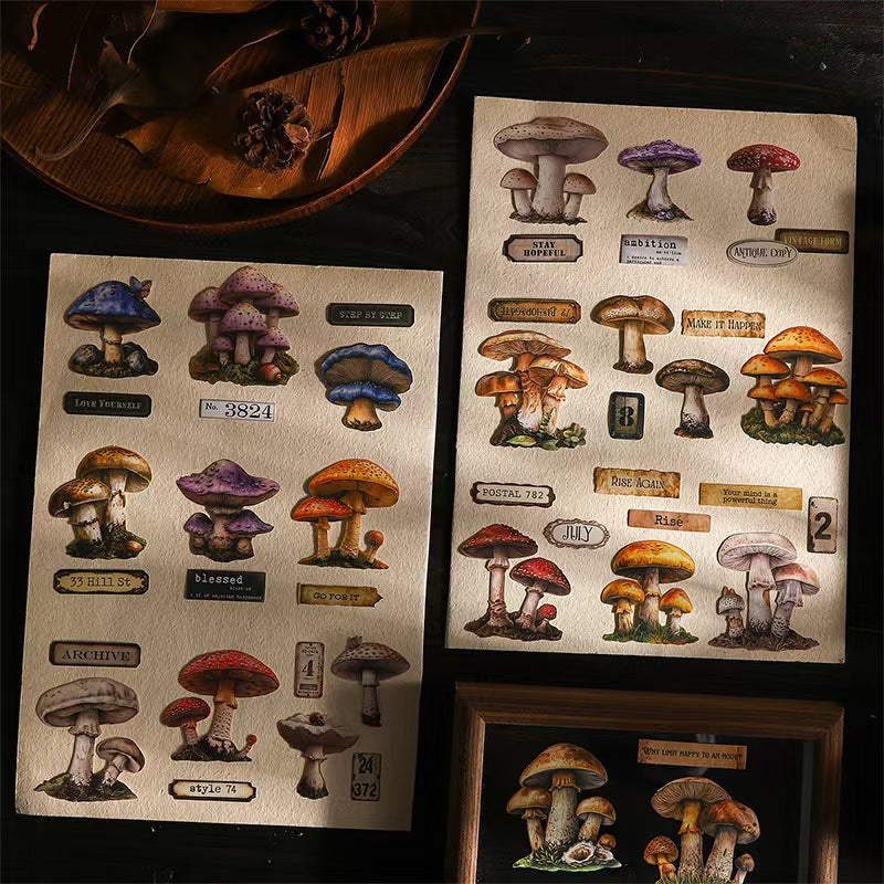 B-10  Mushroom Specimen Collection Series