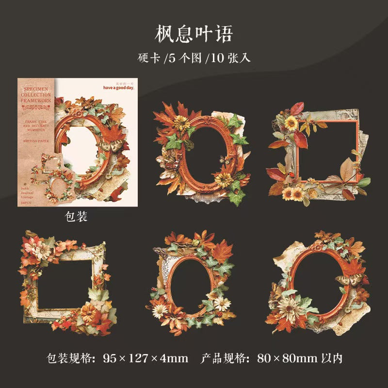 B-11  Mushroom Specimen Collection Series