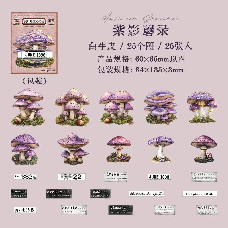 B-10  Mushroom Specimen Collection Series