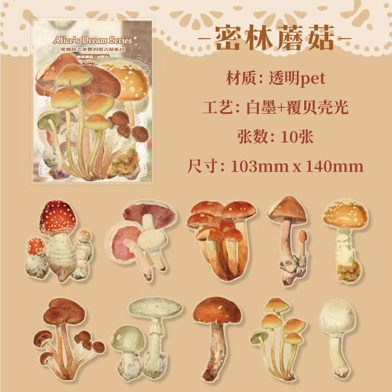 B-4 PET Sticker Alice's Dream Series