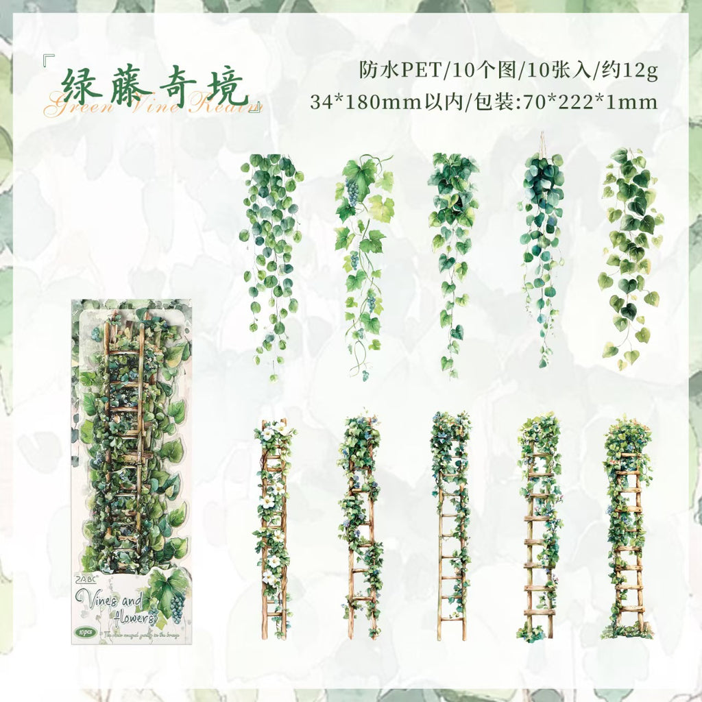 B-19  The Age of Steam Series