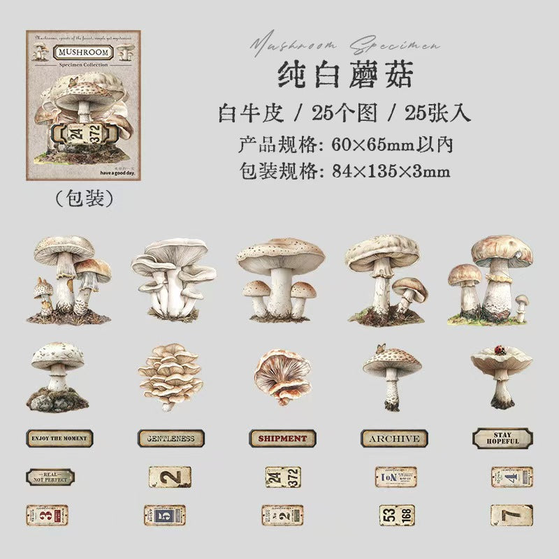 B-10  Mushroom Specimen Collection Series
