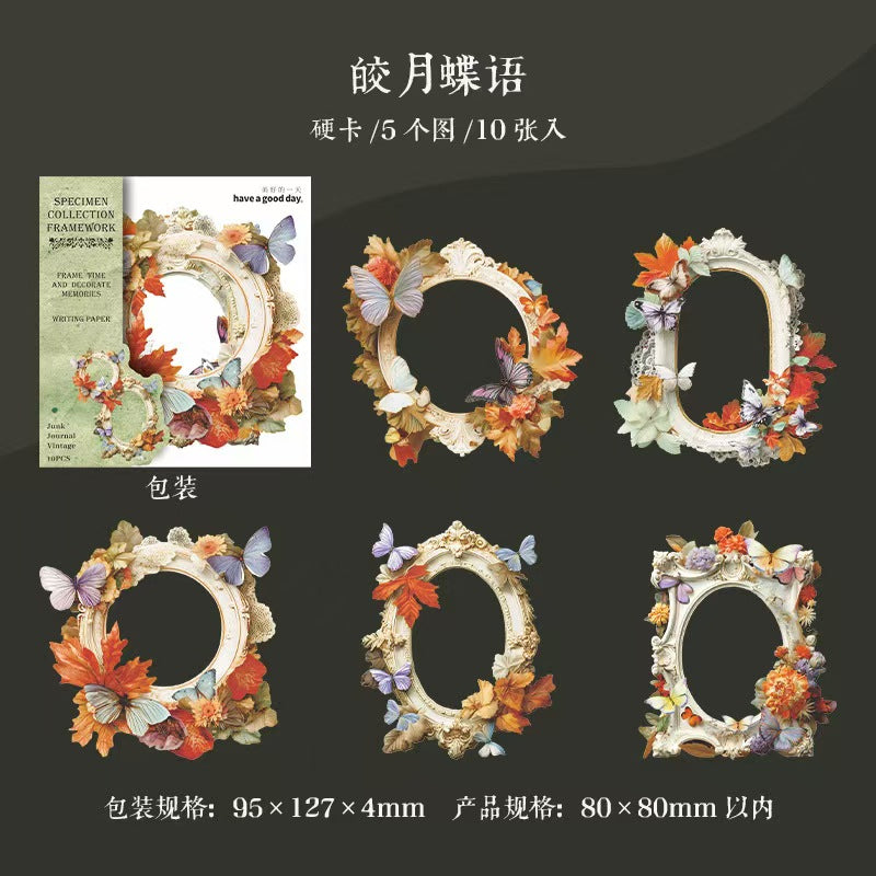 B-11  Mushroom Specimen Collection Series