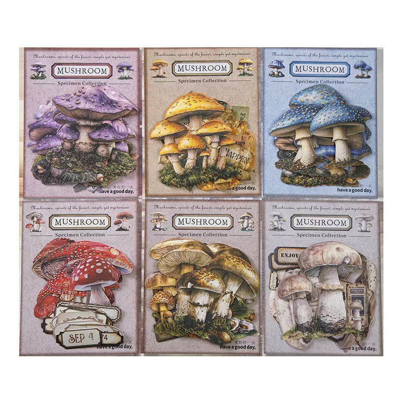 B-10  Mushroom Specimen Collection Series