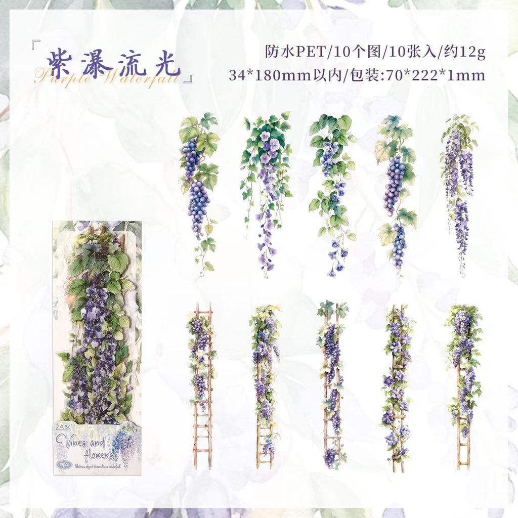 B-19  The Age of Steam Series