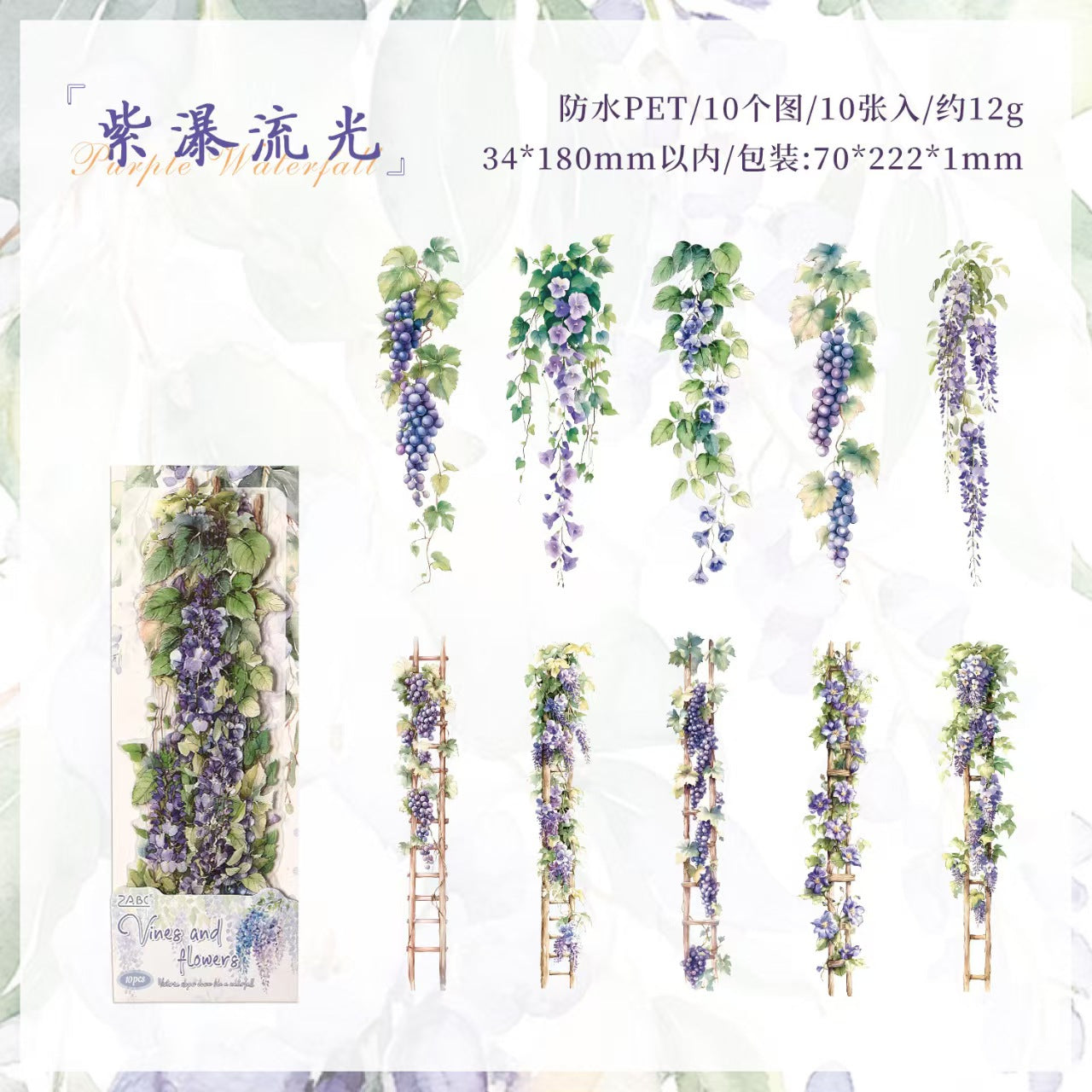 B-19  The Age of Steam Series