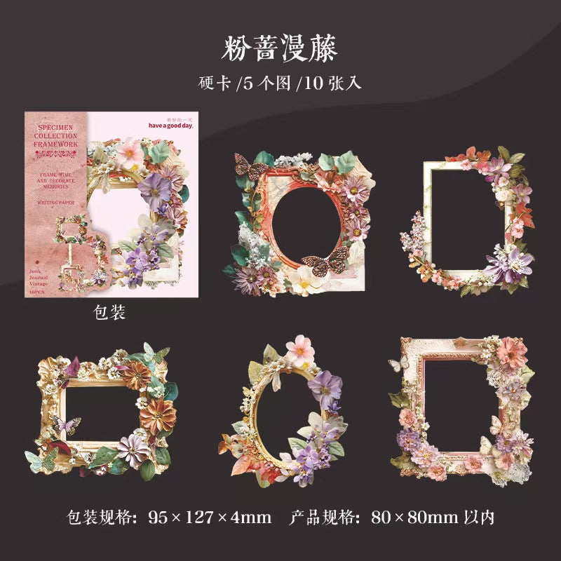 B-11  Mushroom Specimen Collection Series