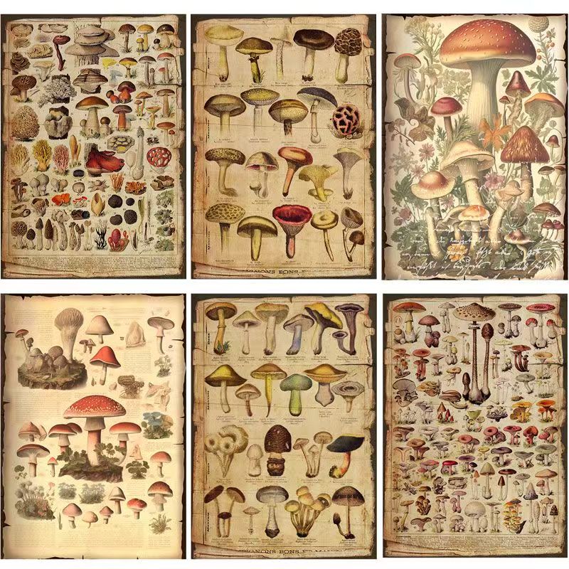 C-7  Background paper for the Institute of Botany